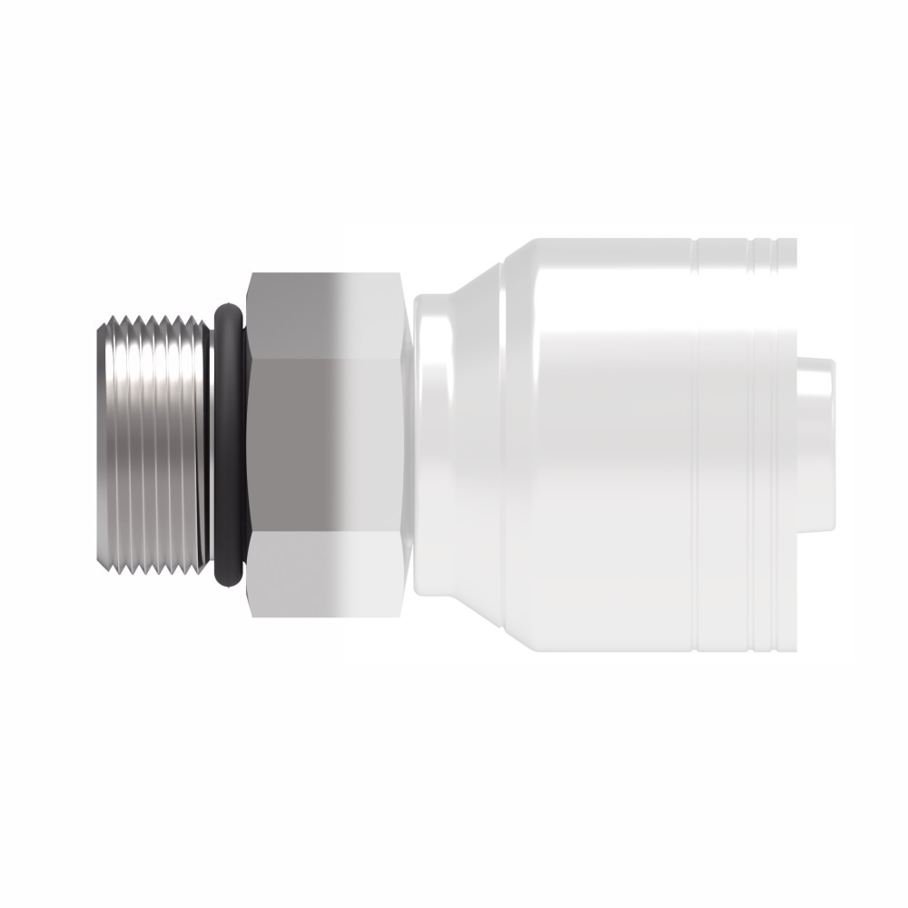 Image Filets ORB (SAE Straight Thread O-Ring Boss)